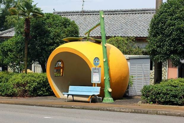 fruit shaped bus stops 4