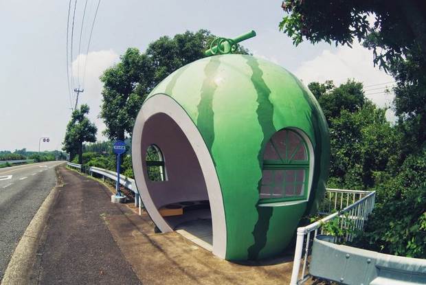 fruit shaped bus stops 5