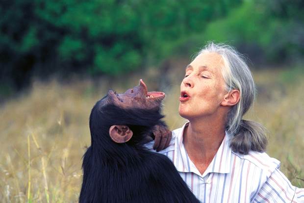 jane-goodall-1