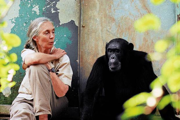 jane-goodall-2