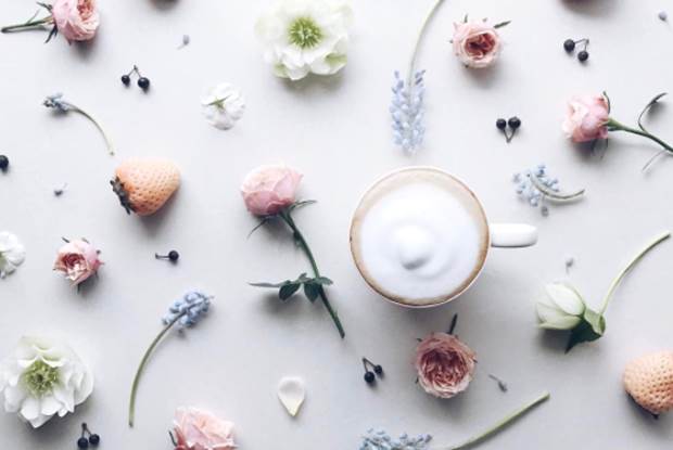 la fee de fleur 2