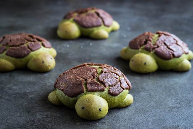 matcha milk bread turtles 1