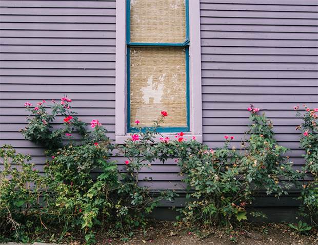 rebekka-seale-nashville-photos-1
