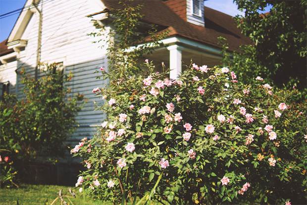 rebekka-seale-nashville-photos-10