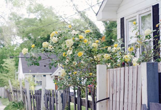 rebekka-seale-nashville-photos-13