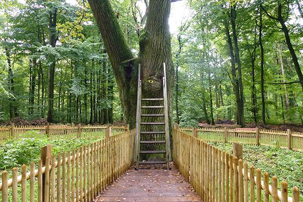 tree with postcode 1