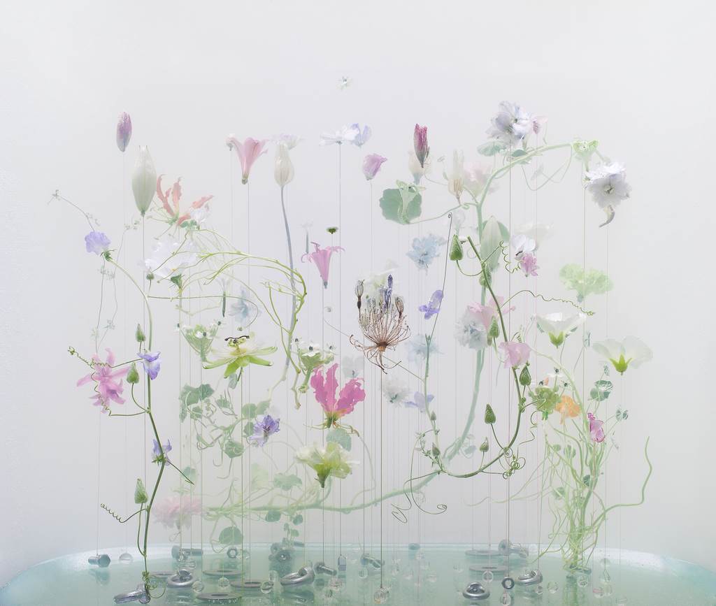 underwater ballet 5