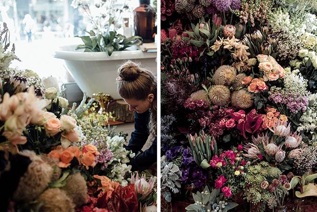 wise florist 2
