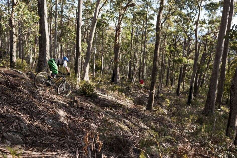 Hollybank mtb online park