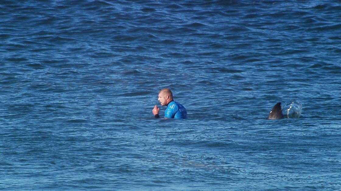 Reactions To Mick Fanning S Shark Attack At J Bay Open Tracks Magazine The Surfers Bible