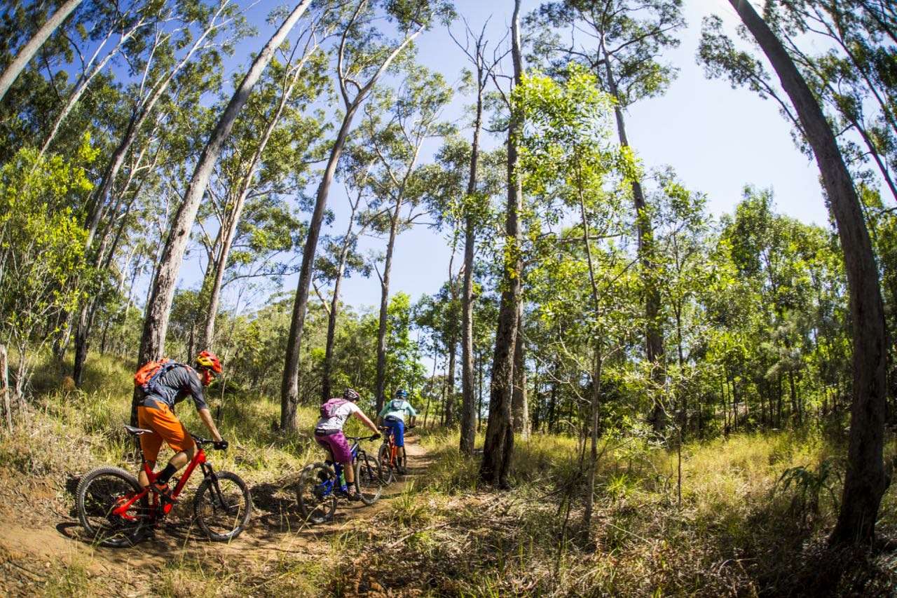 Behind the beach in Noosa Australian Mountain Bike The home for