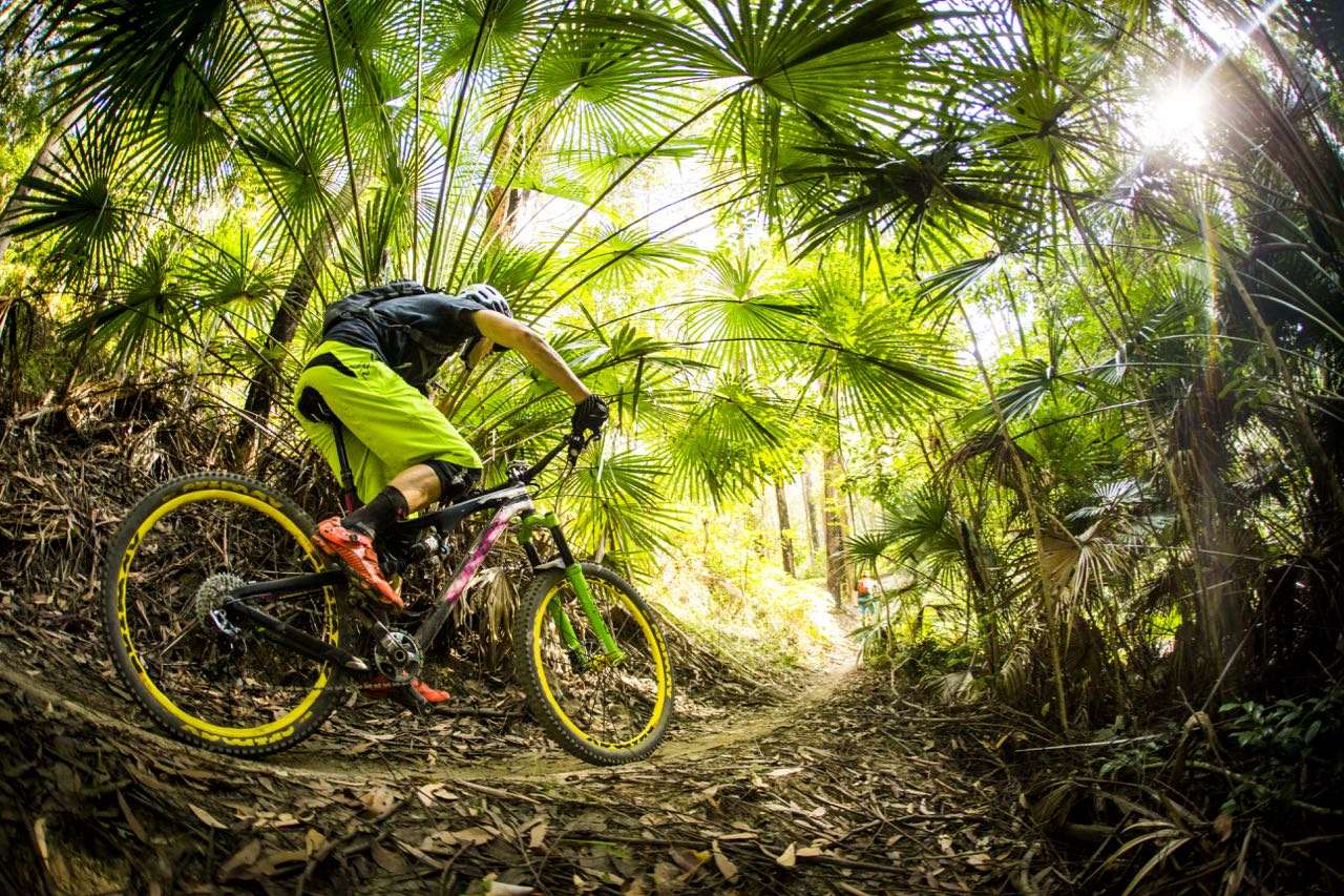 northern beaches mountain bike park