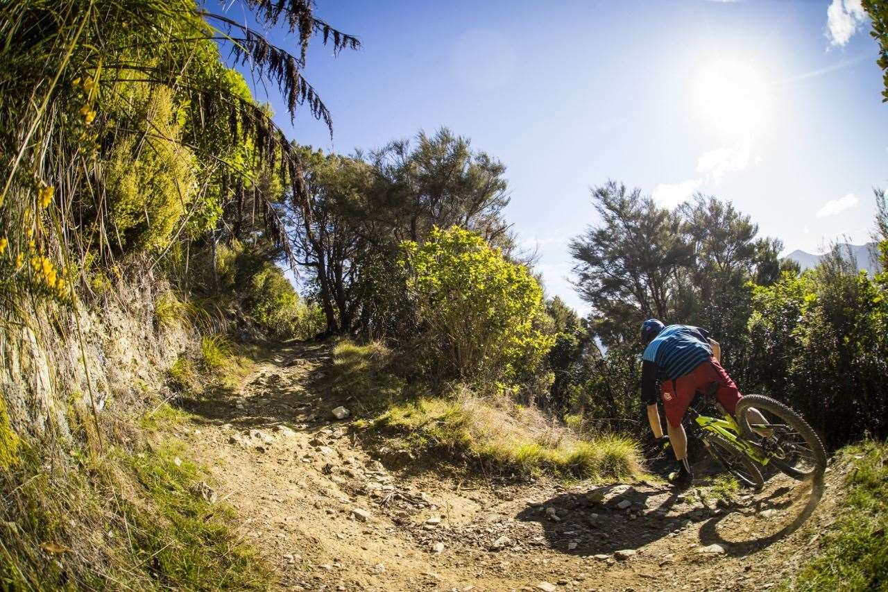 From singletrack to cellar door in New Zealand Australian Mountain
