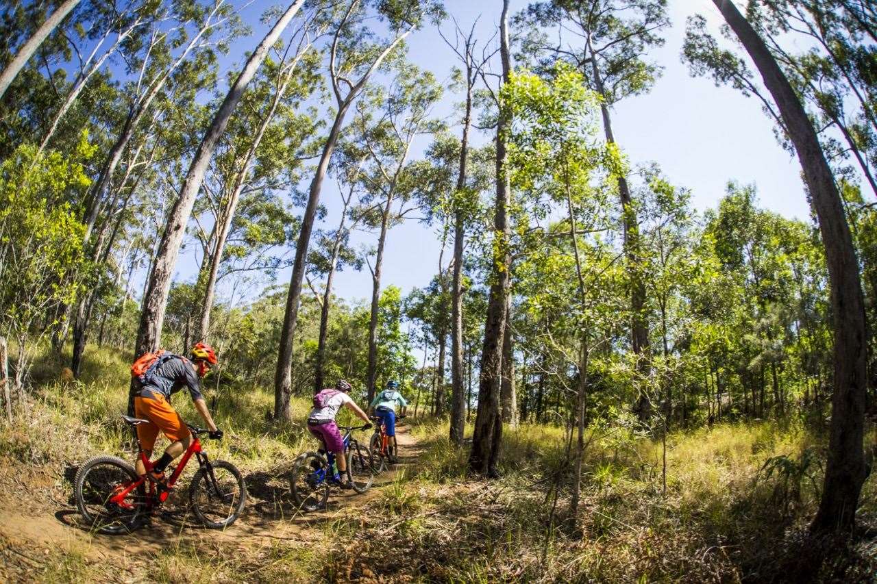 Escape to Noosa - Australian Mountain Bike | The home for Australian ...