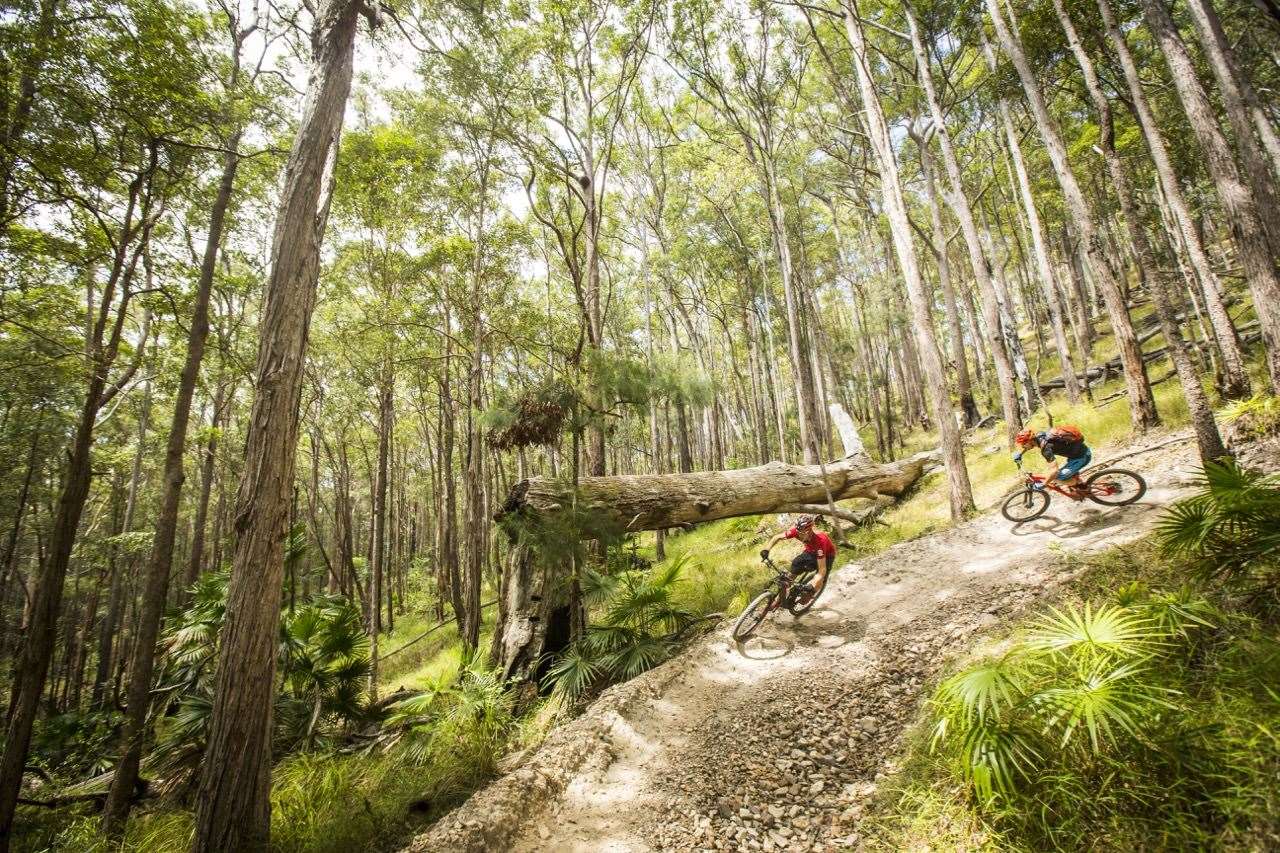 Escape to Noosa Australian Mountain Bike The home for Australian