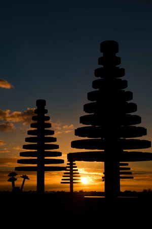 A LEGO forest in the desert