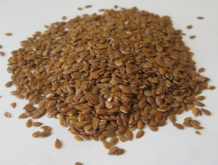 Are seeds alive? Ask a scientist!