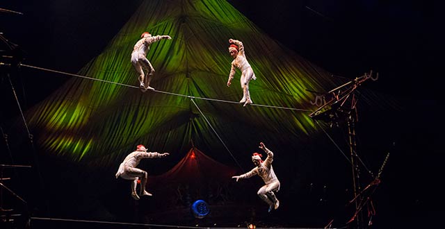 Highwire KOOZA