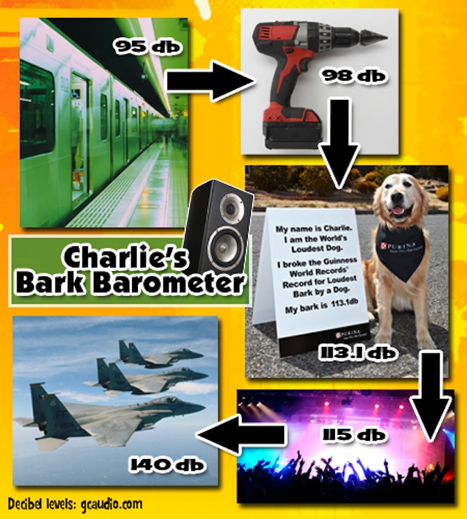 K-Zone Charlie Bark Barometer