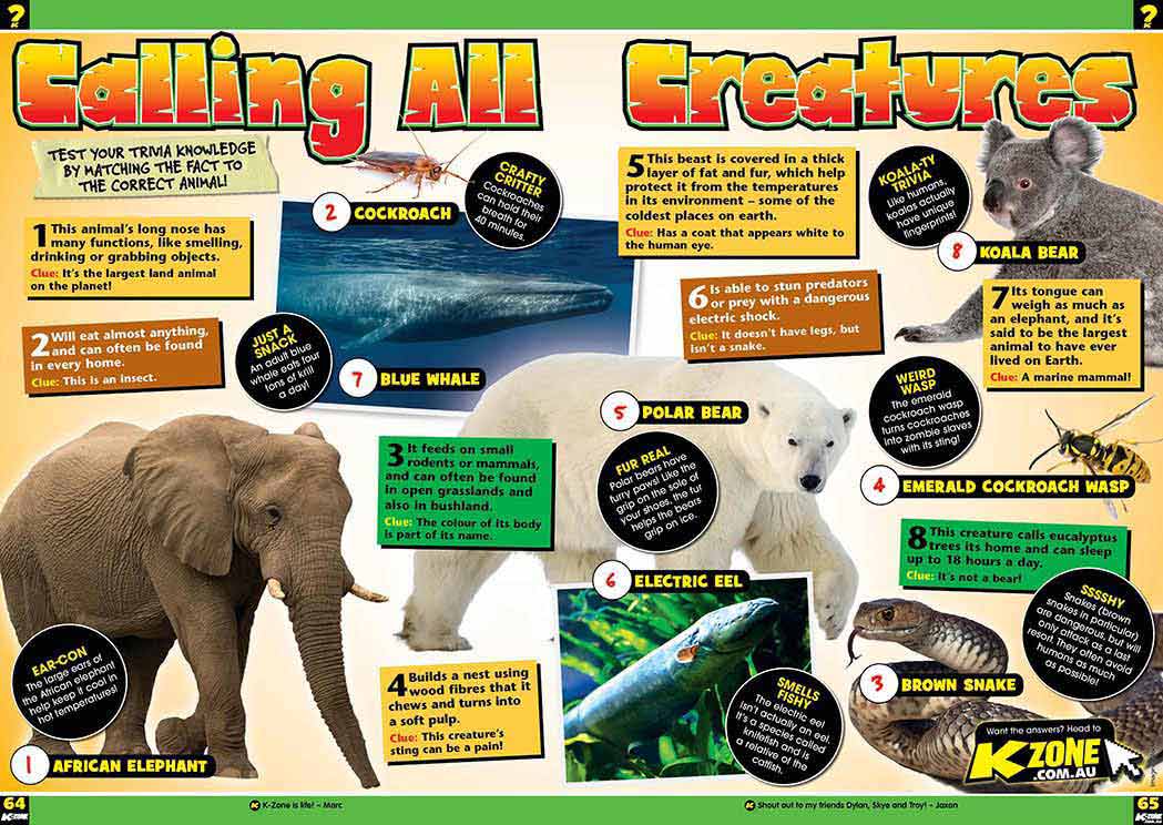 P064-65_KZ0118_ANIMAL_TRIVIA