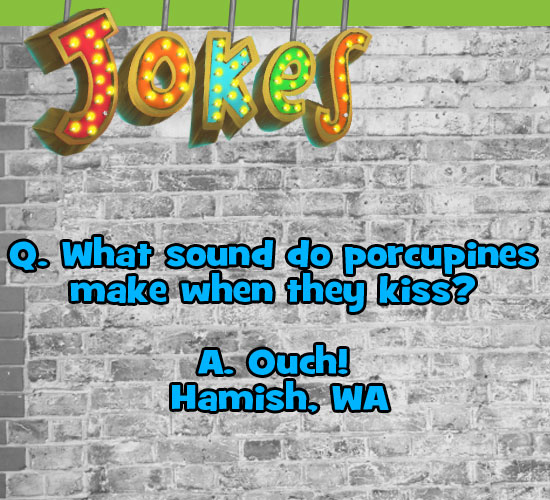 10 Super Funny Jokes – K-Zone 10 Super Funny Jokes – K-Zone