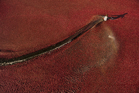 Wakeskating through red water
