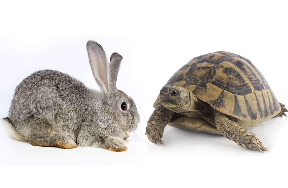 Analysis: Defence takes on tech at tortoise pace - iTnews