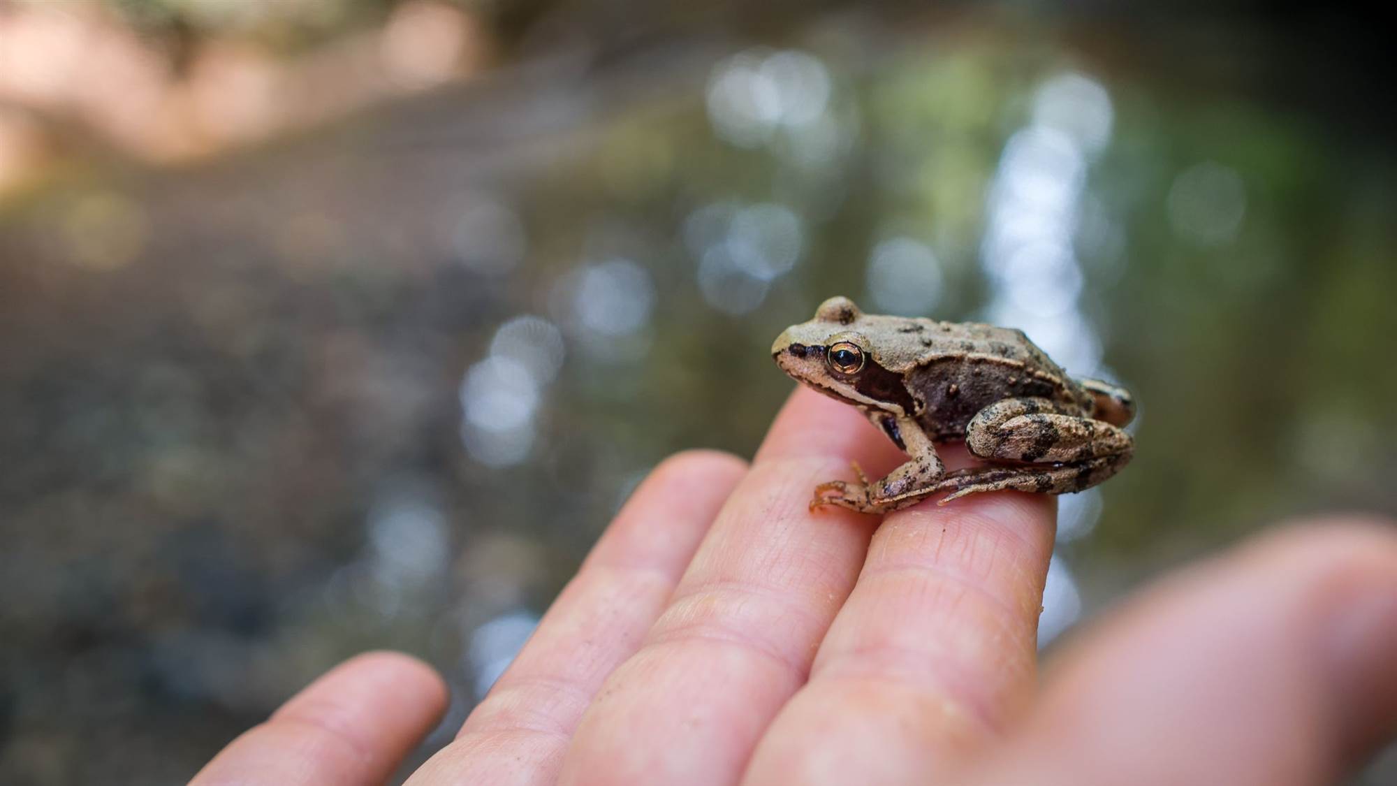 29 Weird Phobias That Really Do Exist Health Prevention Australia