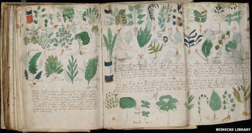 500voynich_manuscript 500voynich_manuscript