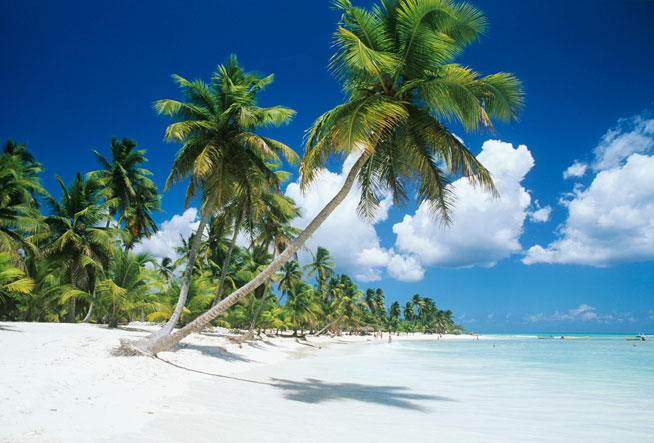 Holiday beauty and glam ideas. Photo: Getty Images