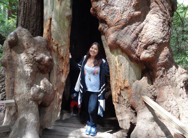 Alex in the Muir Woods with a housand year old tree