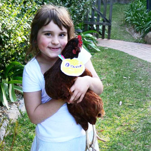 Maya's Brave Hen