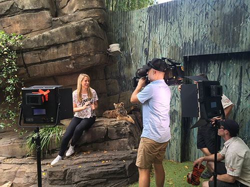 Candice With Tiger