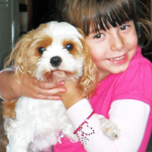 Molly the Dog