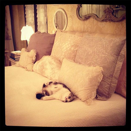 Meredith Makes Herself at Home! Meredith Makes Herself at Home!