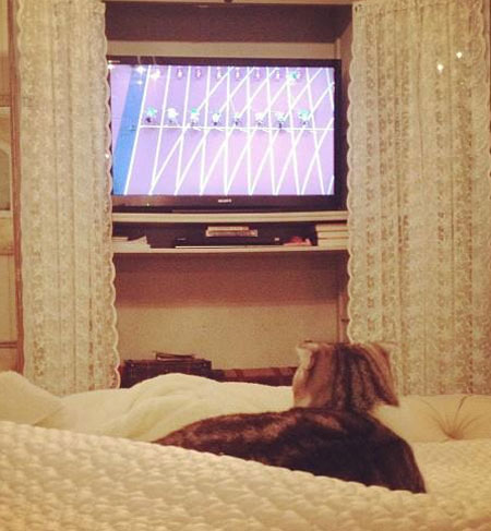 Meredith Watches the Olympics Meredith Watches the Olympics
