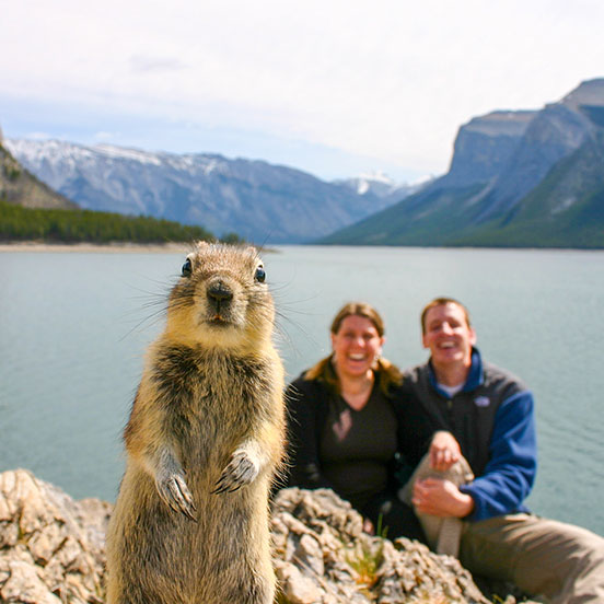 Best Animal Photobombs