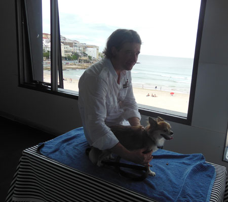 Romeo getting a massage