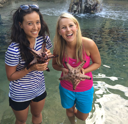 Saturday Disney Candice's Blog: Sea Stars