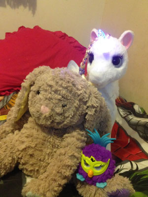 Star Lily and toy friends