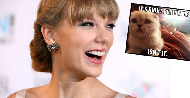 Taylor Swift's Funny Cat Meme – Total Girl