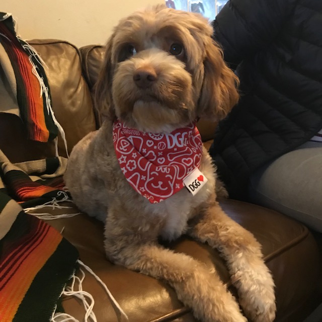 Wez1