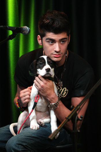 Zayn Malik